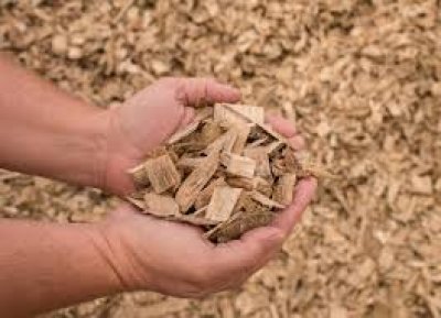 Wood Chip (Green Energy)