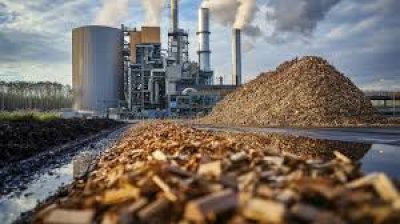 Wood Chip (Green Energy)