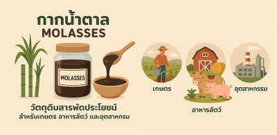 COW FOOD (MOLASSES) กากน้ำตาลเลี้ยงวัว (Future Farm)