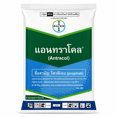 แอนทราโคล 1 กิโลกรัม โพรพิเนบ