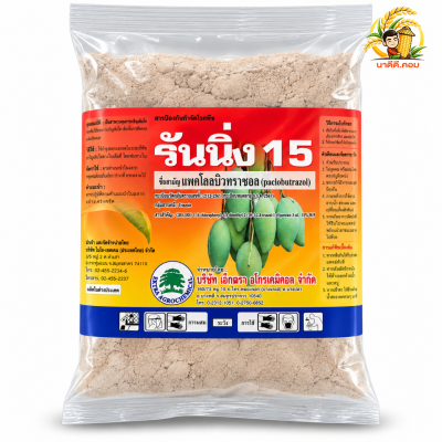 รันนิ่ง 15 (แพคโคลบิวทราโซล 15%) 1 กิโลกรัม ราดมะม่วง ทุเรียน สารควบคุมการเจริญเติบโตของพืช ใช้ทำไม้ผลนอกฤดู เร่งดอกนอก