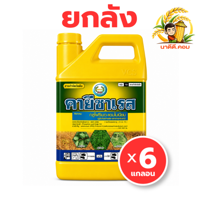 (ยกลัง) คายีซาเรส  ขนาด 4 ลิตร