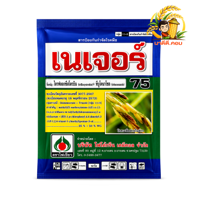 เนเจอร์ 250g. ไตรฟลอกซีสโตรบิน + ทีบูโคนาโซล (โรคเมล็ดด่าง ใบไหม้ กาบใบแห้ง)