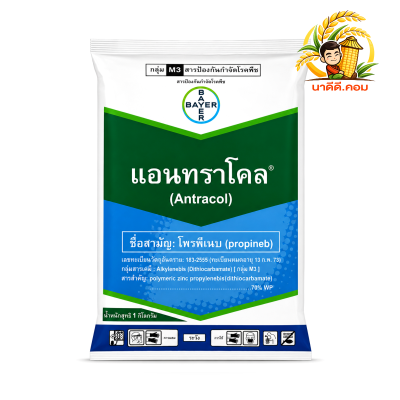 แอนทราโคล 1 กิโลกรัม โพรพิเนบ