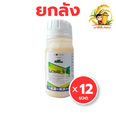 ( 12ขวด ) โมเวนโต โอดี ขนาด 250 ซีซี