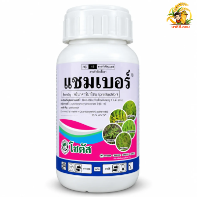 แชมเบอร์ โซตัส สารกำจัด-ฆ่าหญ้าในนาข้าว 7-12 วัน หญ้าแดง หญ้ากระดูกไก่ หญ้าข้าวนก กก ข้าวไม่แดง ไม่อาน ขนาด 250 ซีซี