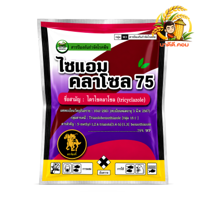 ไซแอมคลาโซล 75 (ไตรไซคลาโซล) ขนาด 100 กรัม สารป้องกันกำจัดโรคไหม้และโรคเน่าคอรวงในข้าว