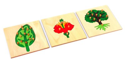 ชุดโบทานี (ชุดพืช)