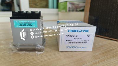 Switching, Monitoring and Control Devices แบรนด์ HOKUYO รุ่น AC-NKB5 DC24V ชนิด Timer Counter