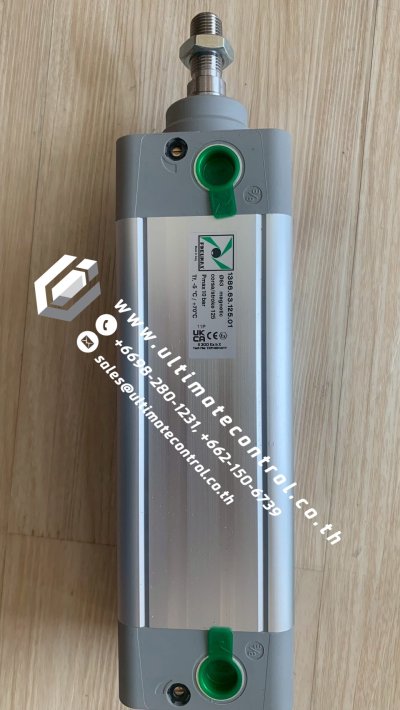 Hydraulics and Pneumatics แบรนด์ PNEUMAX รุ่น 1386.63.125.01, DIA 63 MM ชนิด CYLINDER