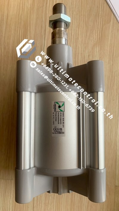 Hydraulics and Pneumatics แบรนด์ PNEUMAX รุ่น 1390.125.50.01, DIA 125 MM, STROKE 50 MM ชนิด CYLINDER
