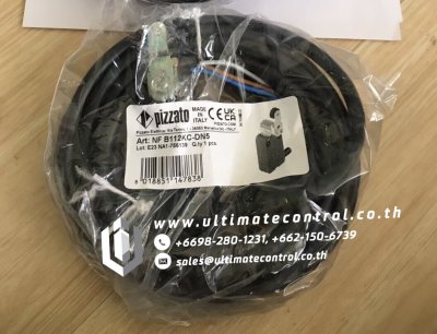 Safety Components แบรนด์ PIZZATO รุ่น NF B112KC-DN5 ชนิด  Limit Switch