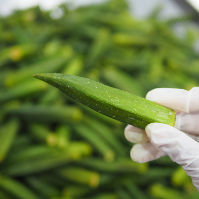 กระเจี๊ยบกรอบ