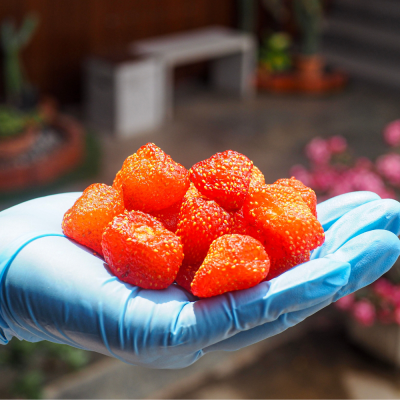 สตรอเบอร์รี่อบแห้ง