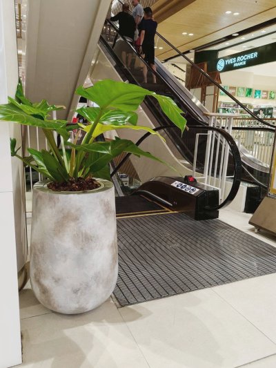  PROJECT REVIEW : Central Ayutthaya