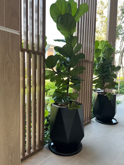PROJECT REVIEW :  Venue ID Vibhavadi-Phahol