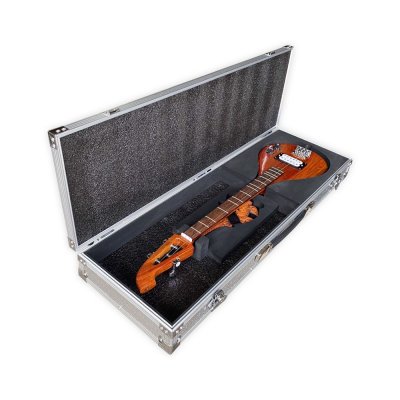 Mandolin case