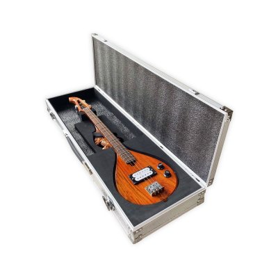 Mandolin case