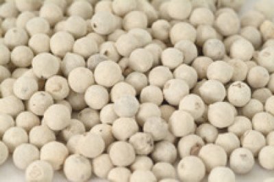 White Pepper seed