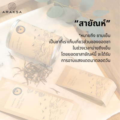 ชาขาวสายัณห์ ชาขาวสายัณห์