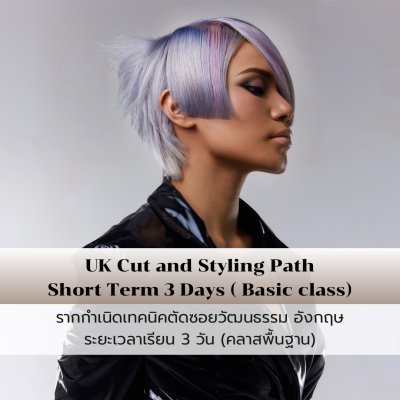 UK Cut and styling Path
