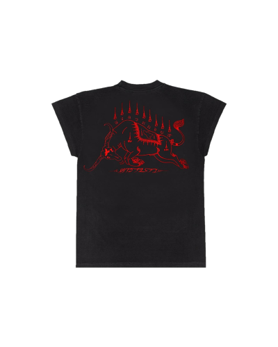 CARABAO T-SHIRT FADED