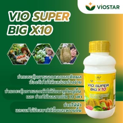 ปุ๋ย VIO SUPER BIG X10 ผลขนาดใหญ่, เพิ่มผลผลิต 10 เท่า, ปุ๋ยทางใบ, ปุ๋ยผลไม้