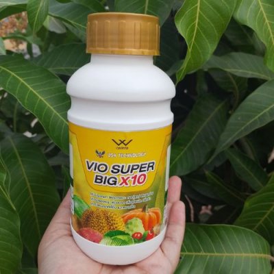 ปุ๋ย VIO SUPER BIG X10 ผลขนาดใหญ่, เพิ่มผลผลิต 10 เท่า, ปุ๋ยทางใบ, ปุ๋ยผลไม้