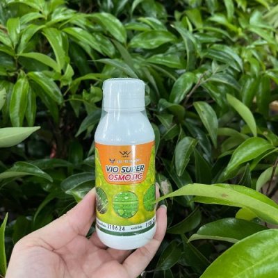 VIO SUPER OSMOTIC สารจับใบ เทคโนโลยีนาโนอะมิโนออสโมซิสจากอเมริกา แทรกซึมผ่านใบได้ดีเยี่ยม ดูดซึมสารได้อย่างรวดเร็ว