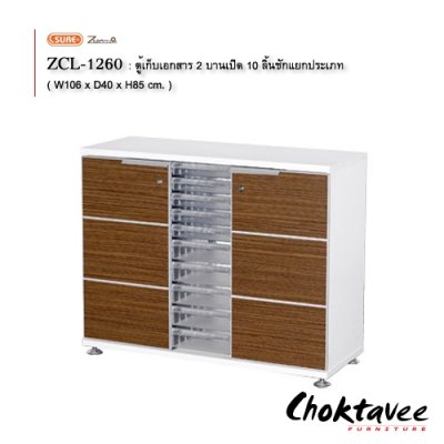 ตู้เก็บเอกสาร 2บานเปิด 10ลิ้นชักแยกประเภท