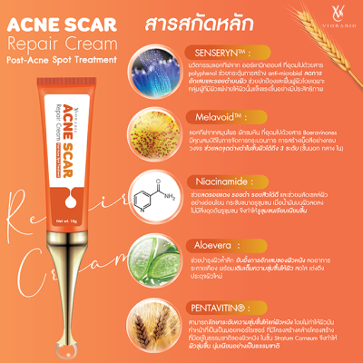 VIORABIO (วิโอร่าไบโอ) Acne Scar Repair Cream Post-Acne Spot treatment ครีมเจลลดรอยดำรอย   Net wt. 10g