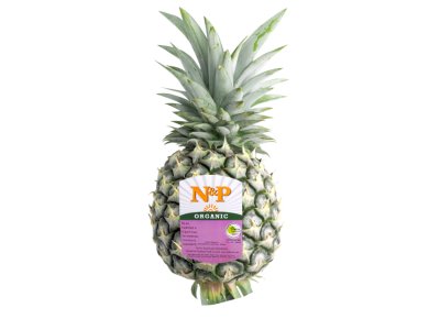 Pattavia Pineapple  (Pack)
