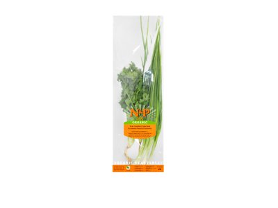 Welsh Onion-Coriander