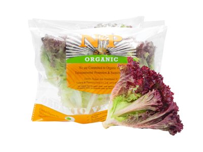 ORGANIC RED CORAL LETTUCE