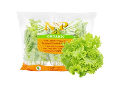 ORGANIC GREEN LETTUCE