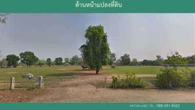 ขายที่ดิน เขาใหญ่ ปากช่อง 10 ไร่