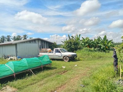 ขายด่วน ที่ดินหนองคายโพนสา ตรงข้ามหาดท่ามะเฟือง ติดถนนใหญ่ 247 ทางไปท่าบ่อ