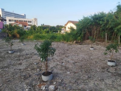 ขายที่ดินสวย ย่านงามวงศ์วาน 15 เข้าซอยเพียง 200 เมตร ขนาด 40x40 เมตร (สนใจเช่า 50,000 บาท/เดือน)