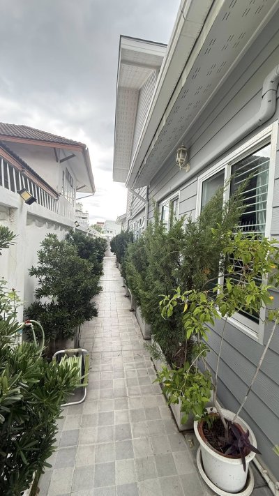 ขายบ้านเดี่ยวหรู สวยสภาพนางฟ้า ประชาชื่น ซอย 6 (ซอยโชติสหาย) เจ้าของดูแลดีมาก