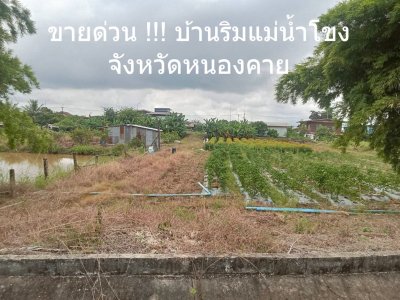 ขายด่วน‼️ บ้านริมโขง บรรยากาศอบอุ่น น่าอยู่มาก ปรับลดราคาพิเศษ จาก 3.5 ล้าน เหลือเพียง 3.2 ล้านบาท