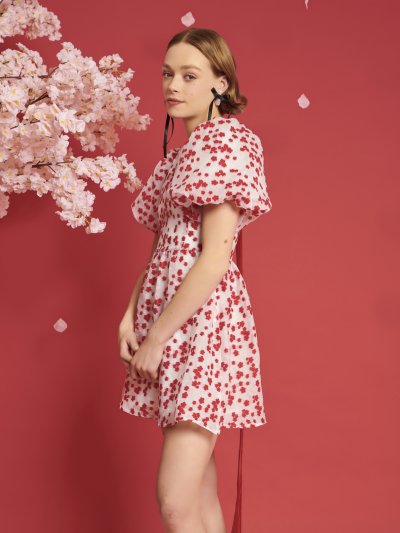Sakura Jacquard Mini Dress