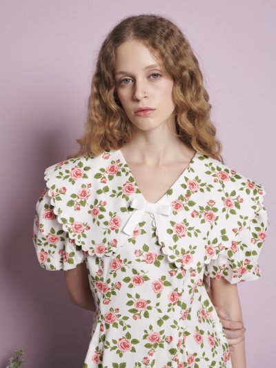 Wild Rose Mini Dress