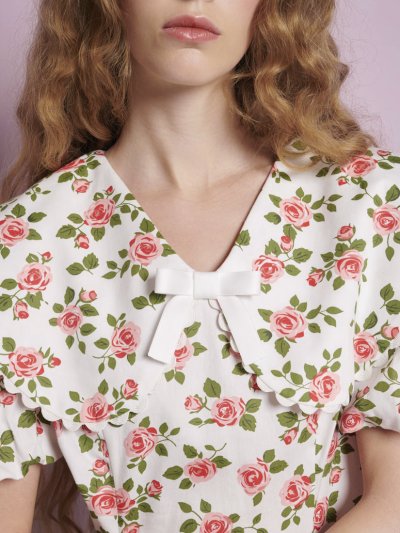 Wild Rose Mini Dress