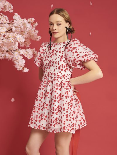 Sakura Jacquard Mini Dress