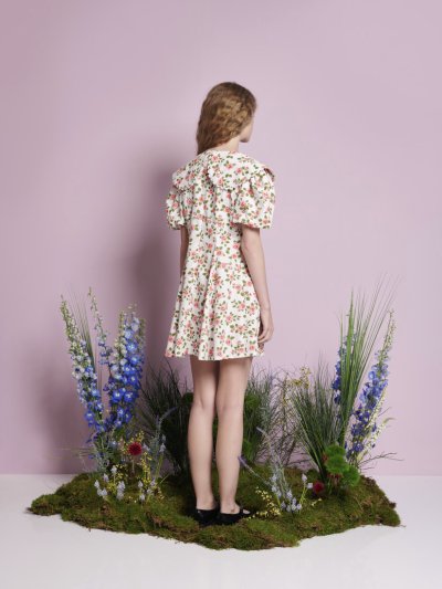 Wild Rose Mini Dress