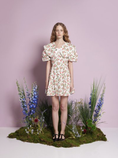 Wild Rose Mini Dress