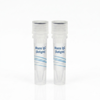 Mouse IgG (Antigen)
