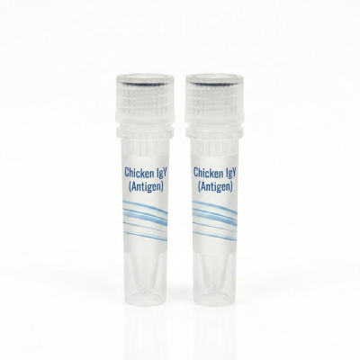Chicken IgY (Antigen)