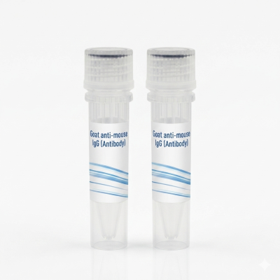Goat anti-mouse IgG (Antibody)