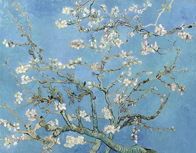Almond Blossom